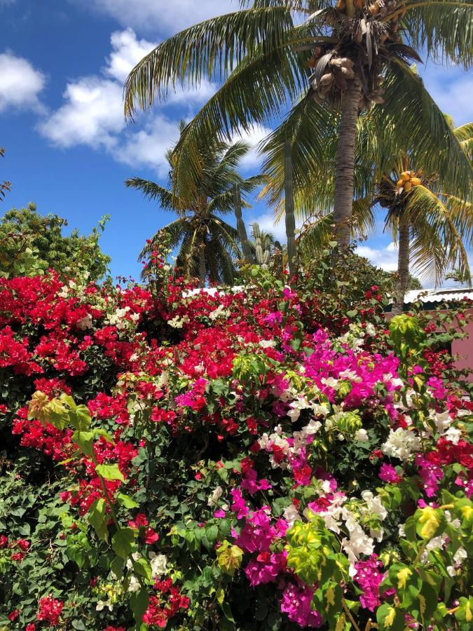 Thuishaven Boutique Mini-Resort - No Kids (Adults Only) Willemstad Bagian luar foto
